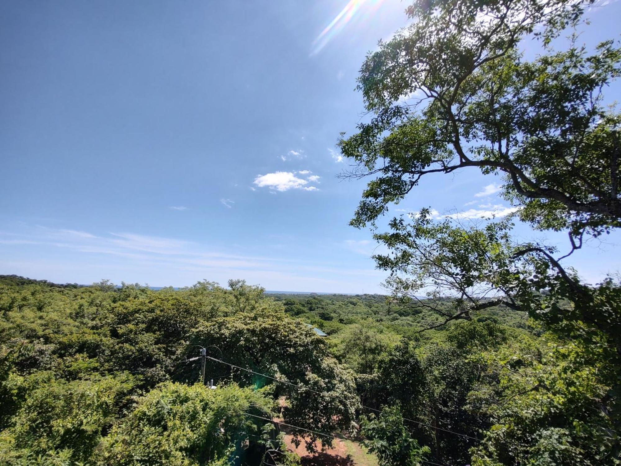 Cocolhu Hotel Tamarindo Kültér fotó